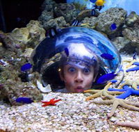 Sea Life Sunshine Coast - Hotel WA