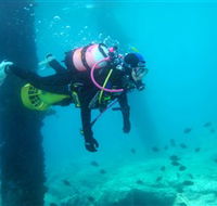 Shellharbour Scuba  Photography Centre - Hotel WA