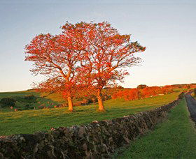 Saddleback Mountain Lookout - Hotel WA 2