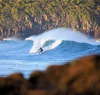 Killalea Beach - Hotel WA