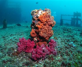 HMAS Brisbane Dive Site - Hotel WA 0