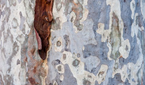 Delta Track - Hotel WA 1