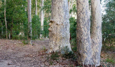 Delta Track - Hotel WA 3