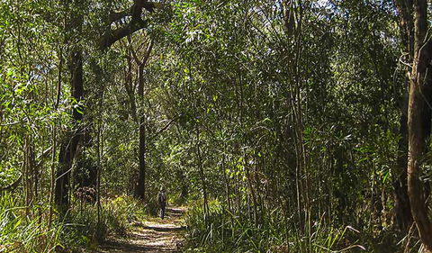 Sand Track Walk (south) - Hotel WA 0
