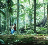 Illinbah circuit - Hotel WA