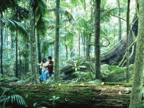 Illinbah Circuit - Hotel WA 0