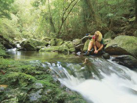 Dave's Creek Circuit - Hotel WA 0