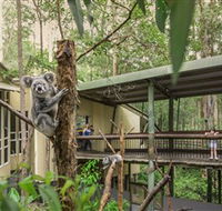 Daisy Hill Koala Centre - Hotel WA