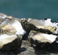 Jim Wilds Oyster Service - Hotel WA