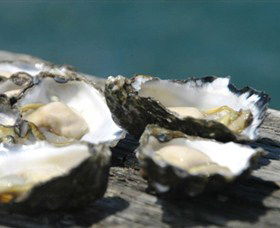 Jim Wilds Oyster Service - Hotel WA 0