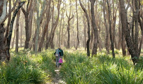 Nerindillah Lagoon Walking Track - Hotel WA 3