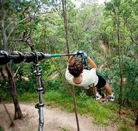 TreeTop Challenge - Hotel WA