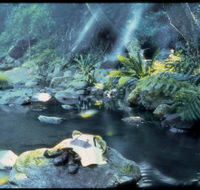 Coomera circuit - Hotel WA