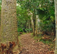 Depot Beach Rainforest walk - Hotel WA