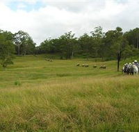 Numinbah Valley Adventure Trails - Hotel WA