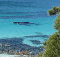 Jervis Bay Marine Park - Hotel WA