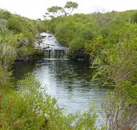 Booderee National Park Green Patch and Telegraph Creek Walking Tracks - Hotel WA