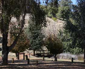 Oak Grove Walk, Balingup - Hotel WA 2