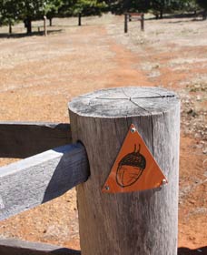 Oak Grove Walk, Balingup - Hotel WA 3
