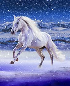 Australian Outback Spectacular: High Country Legends - Hotel WA 1