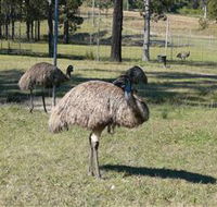 Glen Ian Ostrich and Emu Farm - Hotel WA