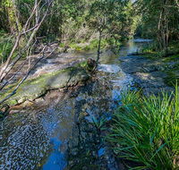 Dawson River walking track - Hotel WA