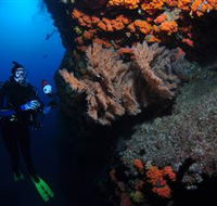 Gotham City Dive Site - Hotel WA