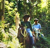 Clarendon Forest Retreat Horse Riding - Hotel WA