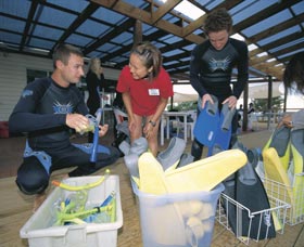 Dolphin Discovery Centre - Hotel WA 1