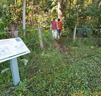 Rainforest walk - Hotel WA