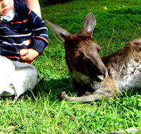 Bunbury Wildlife Park - Hotel WA