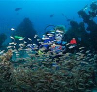 Aarhus Dive Site - Hotel WA