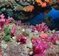 Cherubs Cave Dive Site - Hotel WA