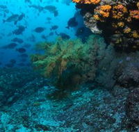 Henderson Rock Dive Site - Hotel WA