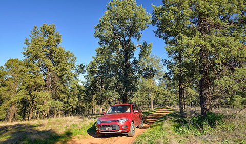 Wallingat Forest Drive - Hotel WA 0
