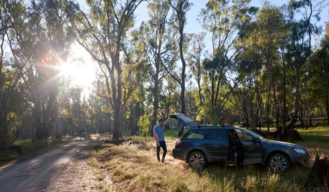 Wallingat Forest Drive - Hotel WA 1