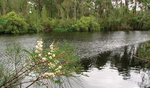 Wallingat National Park - Hotel WA 0