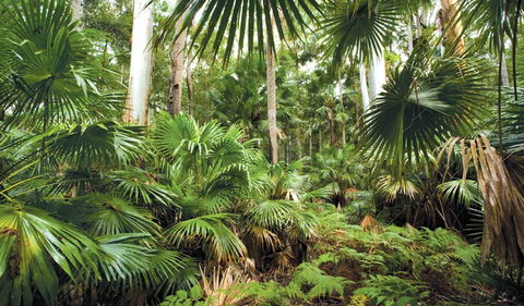 Wallingat National Park - Hotel WA 3