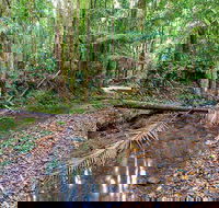 Ulidarra National Park - Hotel WA