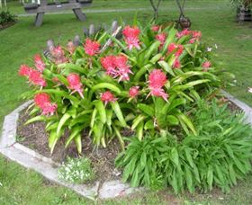 Moorlands Cottage And Gallery - Hotel WA 2