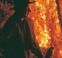 The Shed Gallery - Hotel WA