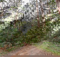 End Peak walking track - Hotel WA