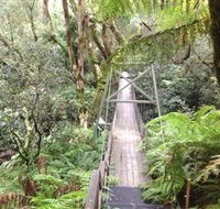 Bemm River Scenic Reserve - Hotel WA