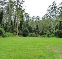 Kerewong State Forest - Hotel WA
