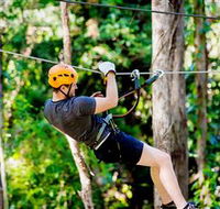 TreeTop Challenge Currumbin - Hotel WA