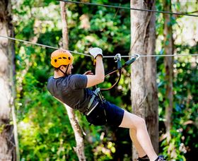 TreeTop Challenge Currumbin - Hotel WA 0