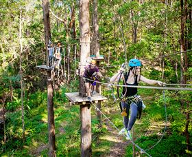 TreeTop Challenge Currumbin - Hotel WA 1