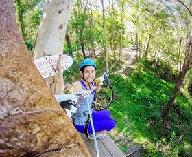 TreeTop Challenge Currumbin - Hotel WA 3