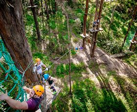 TreeTop Challenge Currumbin - Hotel WA 2
