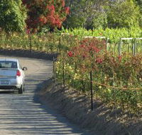 Cassegrain Wines - Hotel WA